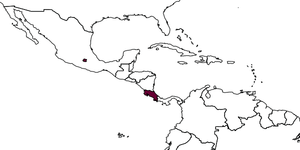 map of Diradops bionica     Ugalde & Gauld, 2002